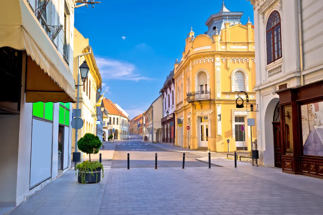 Obilazak Vukovara s vodičem